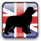 UK Newfoundlands Info logo